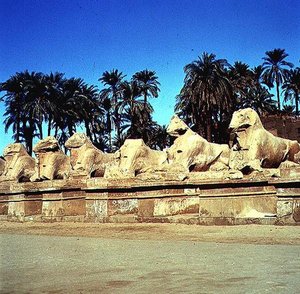 Allee der widderköpfigen Sphinxe entlang des Prozessionswegs zum Großen Tempel von Amun, Neues Reich von Egyptian 19th Dynasty