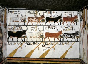 Ägypten, Theben, Luxor, Tal der Königinnen, Grab von Nefertari, Anhang zur Vorkammer, Wandmalereien, Illustriertes Totenbuch, Kapitel 89