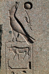 Hieroglyphe mit dem Namen von Horus, Großer Tempel von Amun, Tanis, Ägypten, Neues Reich, Dynastie XIX von Egyptian 19th Dynasty