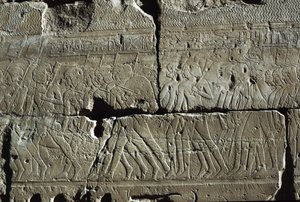 Relief, Tempel des Amun, Luxor, antikes Theben (UNESCO-Welterbeliste)