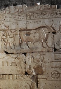 Relief, Tempel von Ramses II., Abydos, Ägypten, ägyptische Zivilisation, Neues Reich, Dynastie XIX von Egyptian 19th Dynasty