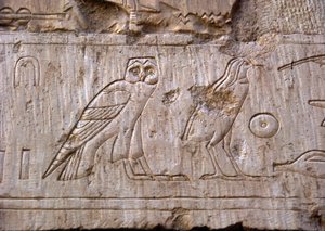 Ägyptische Antike: Relief, das eine Eule und einen Adler darstellt. Grab von Ankh-Hor (Ankh Hor) (TT414) (26. Dynastie, 672-525 v. Chr.), Luxor (Theben), Ägypten