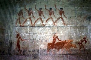 Männer treiben Schafe und Rinder aus der Mastaba-Kapelle von Ti, Altes Reich