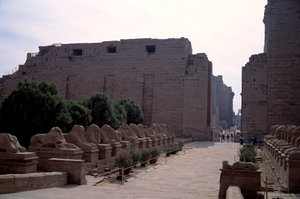 Ägyptische Antiquität: Allee (Dromos) der Kriosphinx (Sphinx mit Widderkopf) in Karnak, Luxor, Ägypten von Egyptian Egyptian