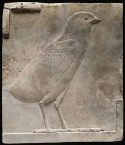 Relieftafel, die ein Küken darstellt, ca. 330-305 v. Chr. von Egyptian Ptolemaic Period