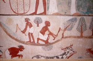 Szene der Landwirtschaft (Mähen und Holzschneiden), aus dem Grab des Schreibers Menna, Ägypten, Sheikh Abd el-Qurna, Tal der Adligen von Egyptian School
