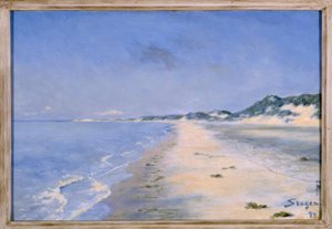 Ein herrlicher Sommertag in Skagen von Einar Hein