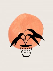 Boho-Topfpflanze