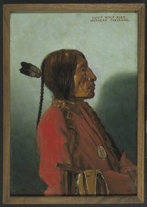 Häuptling Wolf-Robe