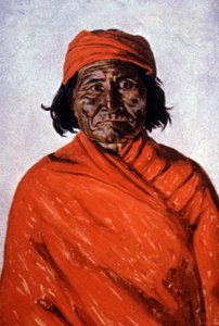 Geronimo, ca. 1900 (Illustration) von Elbridge Ayer Burbank