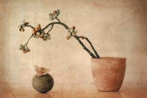 Erdige Beeren und Orchidee von Elena Arjona