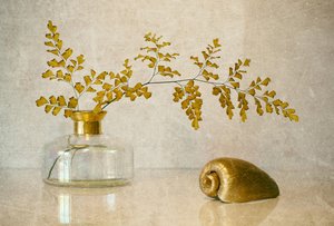 Goldener Farn Stillleben