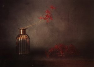 Rote Blüte Stillleben