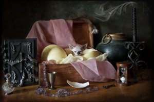 Mystischer Kätzchenschatz