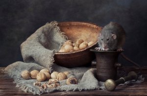 Rustikale Ratte und Walnüsse von Eleonora Grigorjeva
