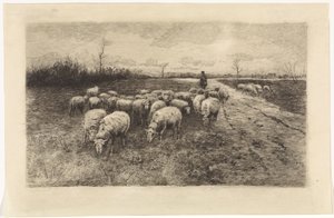 Hirte mit Schafherde