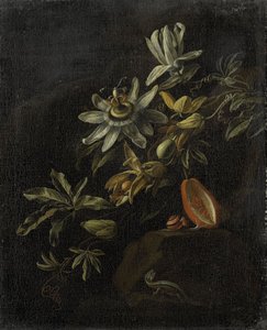 Stillleben mit Passionsblumen von Elias van den Broeck