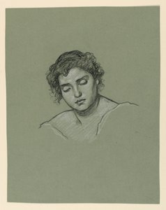 Kopf einer Frau von Elihu Vedder