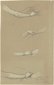 Studie für Die Schicksale, die die Sterne sammeln, um 1884-1887