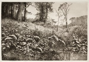 Ein Sommernachmittag von Elis F. Miller