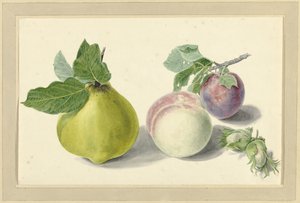 Eine Birne, Pfirsich, Pflaume und Nüsse
