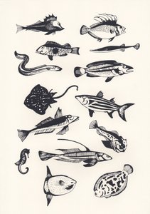Monotone Ebene Fisch, 2015 von Eliza Southwood