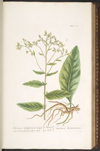 Tafel 102, aus 