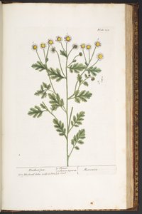 Tafel 192, aus 
