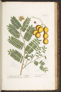 Tafel 201, aus 
