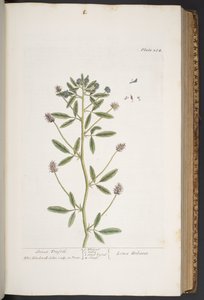 Tafel 284, aus 