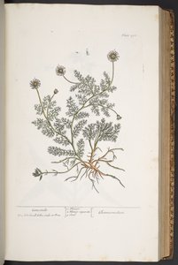 Tafel 298, aus 