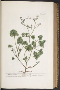 Tafel 306, aus 