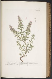Tafel 318, aus 