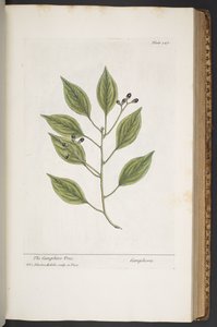 Tafel 347, aus 