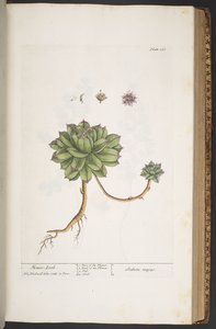Tafel 366, aus 