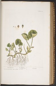 Tafel 383, aus 