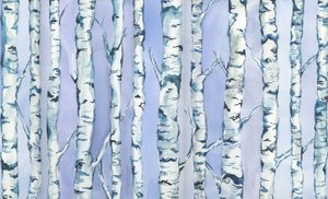 Silberbirkenwald, 2018 von Elizabeth Rider
