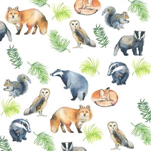 Waldtiere von Elizabeth Rider