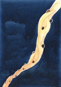 Unsere Fürbitten für die Heiligen Seelen im Fegefeuer, im Namen Jesu, sind wie ein Seil, das sie in Richtung Himmel zieht