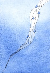 Unsere Fürbitten für die Heiligen Seelen im Fegefeuer im Namen Jesu sind wie ein Seil, das sie in den Himmel zieht.