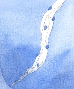 Unsere Fürbitten für die Heiligen Seelen im Fegefeuer im Namen Jesu sind wie ein Seil, das sie in den Himmel zieht