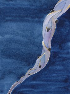 Unsere Fürbitten für die heiligen Seelen im Fegefeuer im Namen Jesu sind wie ein Seil, das sie in Richtung Himmel zieht.