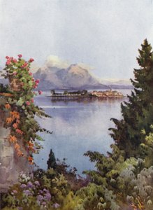 Ein Garten in Baveno, Lago Maggiore von Ella Du Cane