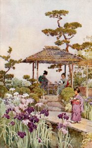 Ein Schwertliliengarten von Ella Du Cane