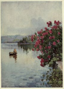 Oleander, Lago di Como, Illustration aus 
