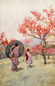 Pfirsichblüte von Ella Du Cane