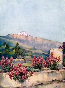 Der Gipfel, von Villa Orotava von Ella Du Cane