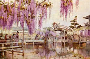 Wisteria, Kameido von Ella Du Cane