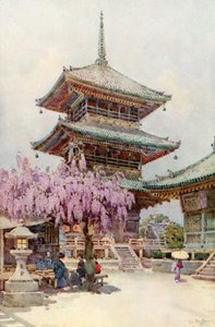 Wisteria, Kyomidzu