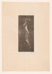 Nackte Frau im Sonnenlicht von Ellinnot (signed by artist)